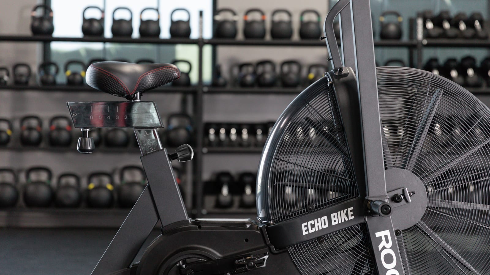 Rogue ECHO Bike Wind Guard - 75 Degrees - V2 | Rogue Fitness